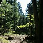 Kniebis 2009 Bild 28